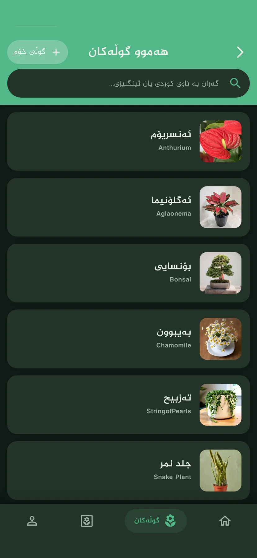 كولەکانم — 3